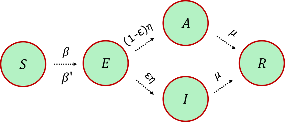 SEAIR compartmental scheme: S to E with rates beta and beta-prime, E to A with rate (1-epsilon)eta and to I with rate epsilon-eta, A and I to R with rate mu